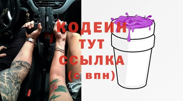 спиды Вяземский