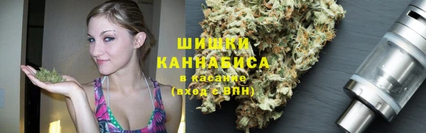 спиды Вяземский
