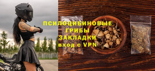 бошки Вязьма