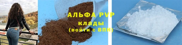 спиды Вяземский