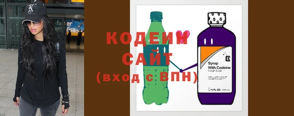 спиды Вяземский