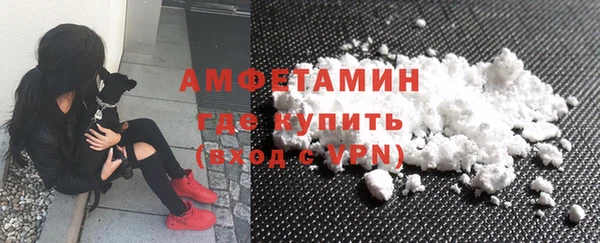 спиды Вяземский