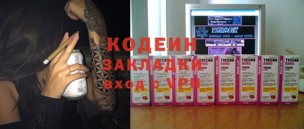 спиды Вяземский