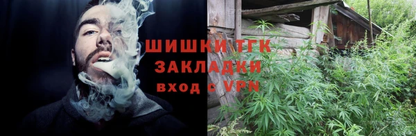 спиды Вяземский