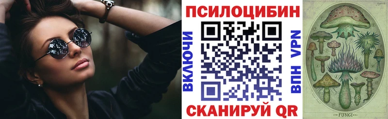 Псилоцибиновые грибы Cubensis  Курган 